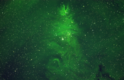 Christmas Tree Cluster