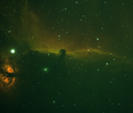 Elephant's Trunk Nebula