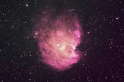 Monkey Head Nebula